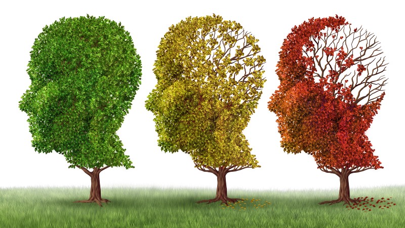 No Brasil, foi instituído em 2008 o Dia Nacional de  Conscientização da Doença de Alzheimer. A data é celebrada anualmente no dia 21 de setembro (Foto: Getty Images)