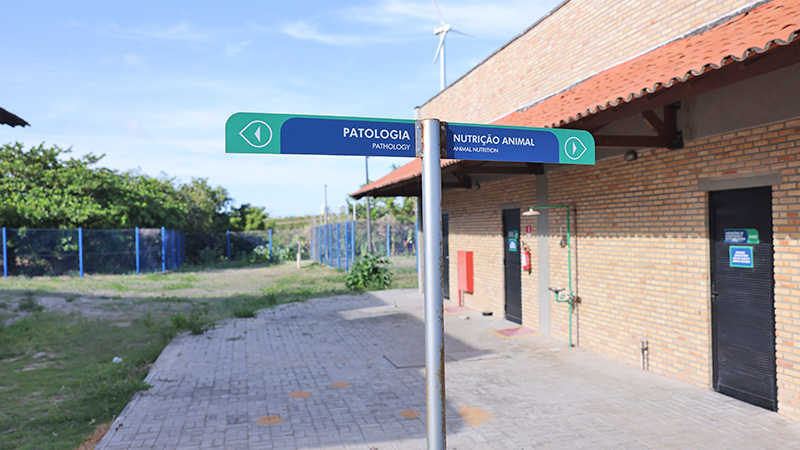 Bloco de Nutrição Animal