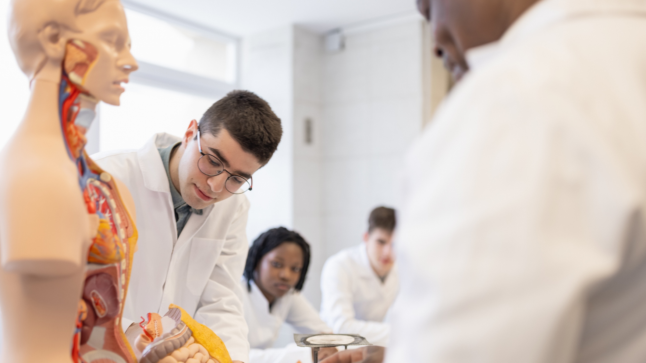 O Programa integra ensino, pesquisa e extensão, proporcionando aos participantes uma formação ampla e de qualidade, com ênfase em cidadania e responsabilidade social. Foto: Getty Images