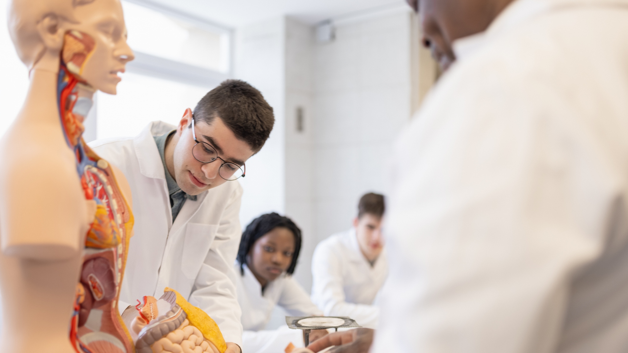 O Programa integra ensino, pesquisa e extensão, proporcionando aos participantes uma formação ampla e de qualidade, com ênfase em cidadania e responsabilidade social. Foto: Getty Images