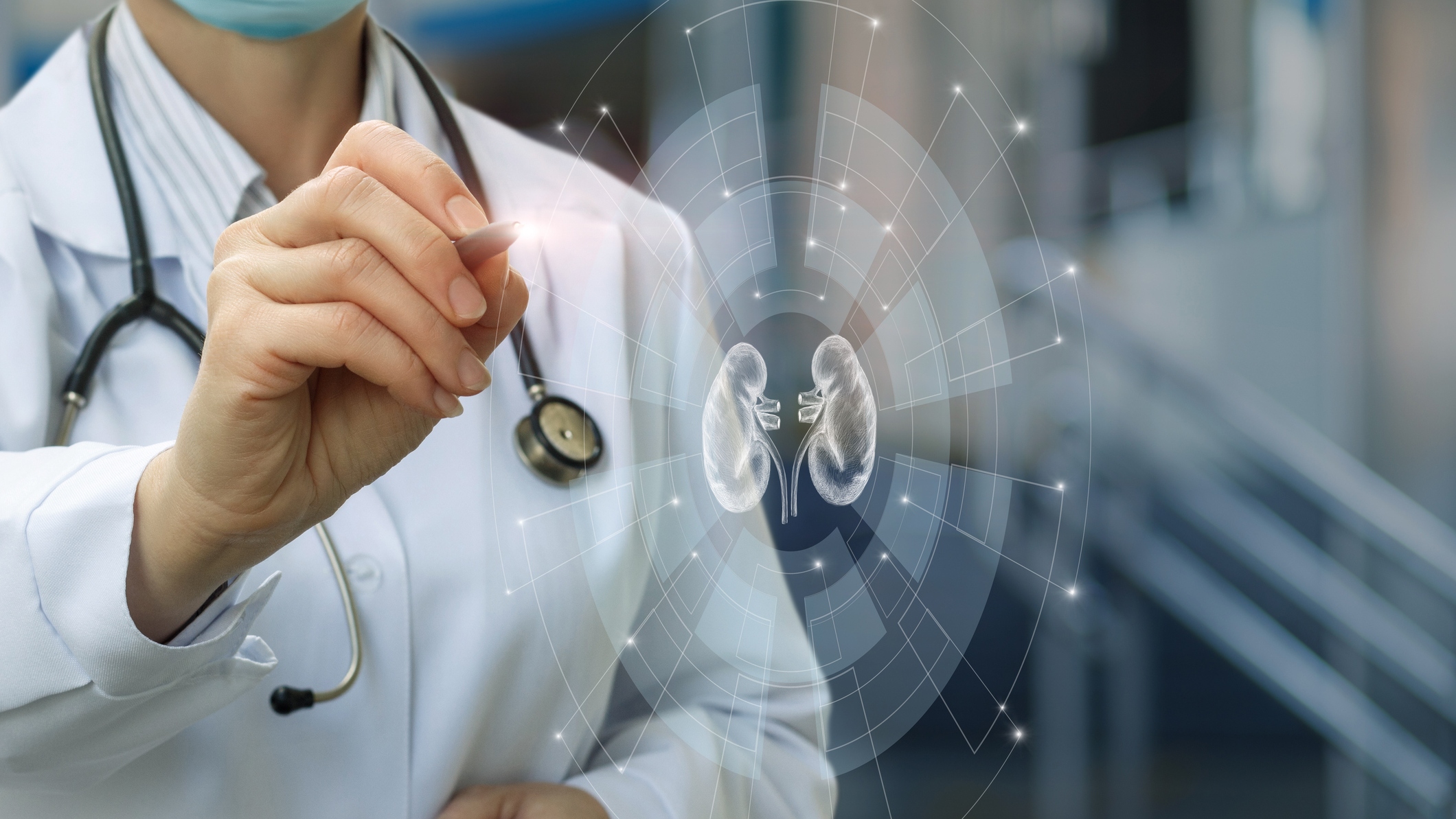 A iniciativa está alinhada às ações da International Society of Nephrology e apoiada pela Sociedade Brasileira de Nefrologia - Foto: Getty Images