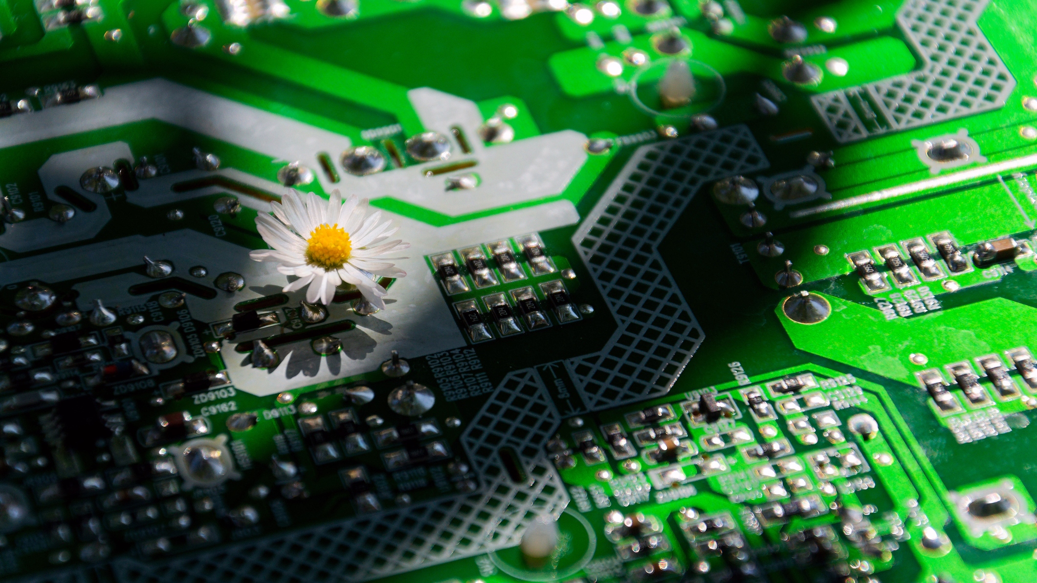 A discussão se mostra especialmente relevante em um contexto em que o Ceará passa a integrar a rota de megadatacenters de Inteligência Artificial - Foto: Getty Images