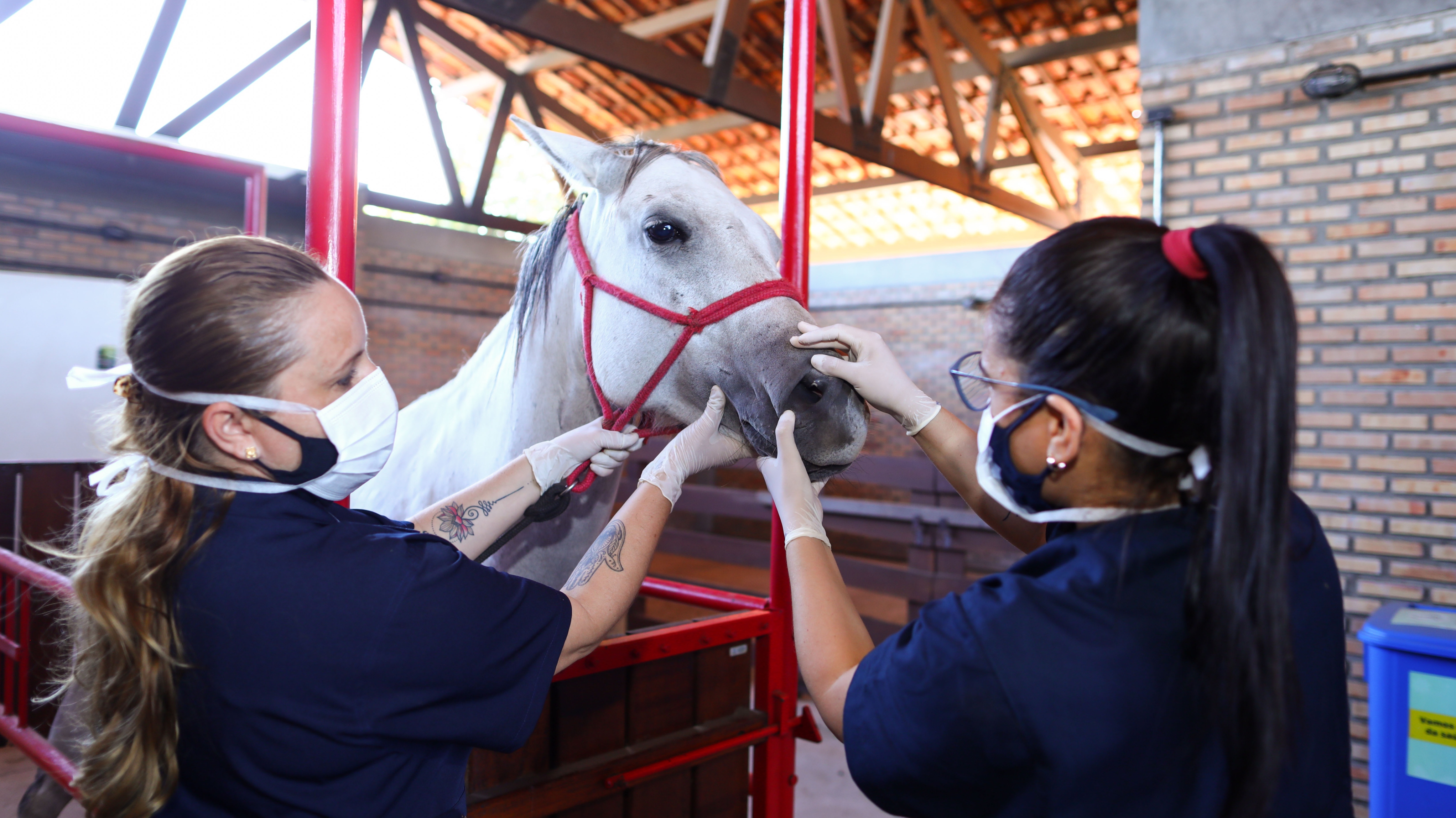 A previsão para início é de 02 de março a 02 de julho de 2026 - Foto: Ares Soares