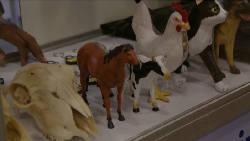 A apresentação do telejornal ficou por conta dos estudantes de jornalismo da Unifor, Eduarda Girão e Léo Ruperti (Foto: Priscilla Sousa)