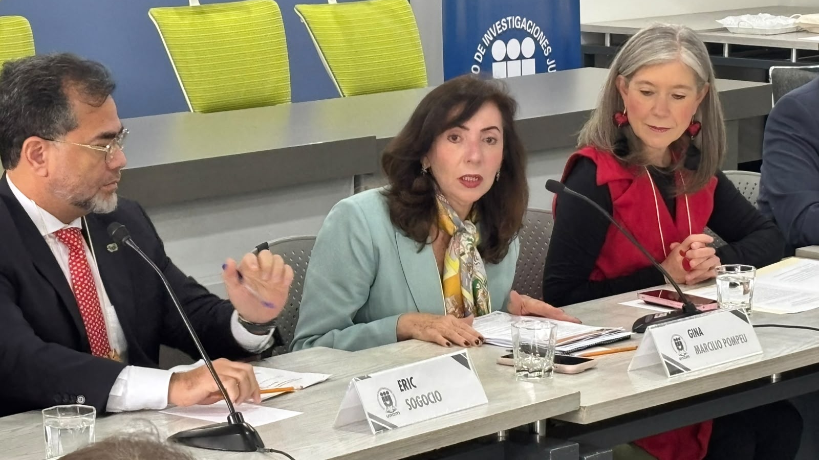Profa. Dra. Gina Pompeu, diretora de Relações Internacionais e professora titular da Unifor, presidente da RED-IDD e organizadora do livro Direitos Fundamentais na Perspectiva da Democracia Interamericana: RED-IDD-2026. Foto: Arquivo pessoal.