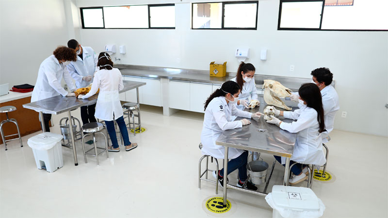 O objetivo do programa é desenvolver competências de atendimento clínico e cirúrgico veterinário, dentro das especificidades do Complexo de Medicina Veterinária - Foto: Ares Soares