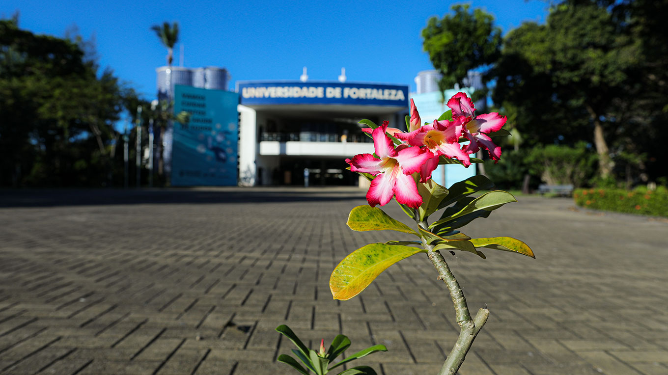 Centro de Convivência da Unifor, no primeiro plano, a imagem de uma flor