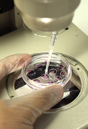 O edital apoia a pesquisa científica e a inovação na Universidade de Fortaleza, por meio do financiamento de projetos de pesquisa (Foto: Ares Soares)