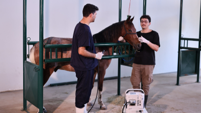 O equipamento é uma clínica-escola e constitui o principal campo de prática do curso de Medicina Veterinária da Unifor (Foto: Ares Soares)