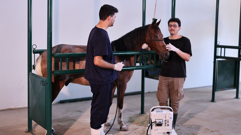 O equipamento é uma clínica-escola e constitui o principal campo de prática do curso de Medicina Veterinária da Unifor (Foto: Ares Soares)