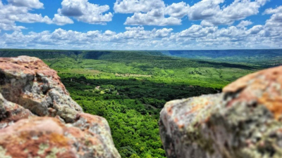 Chapada do Araripe vista do Mirante das Tabocas (Foto: Flávio Domingos)