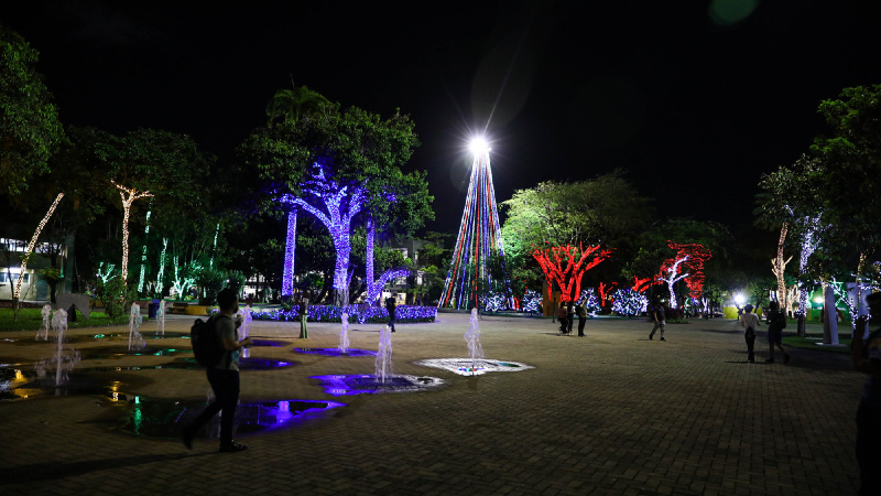 A tradicional árvore de natal da Unifor possui cerca de oito metros de altura (Foto: Ares Soares)