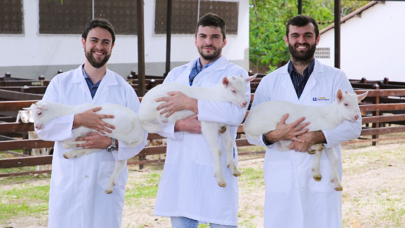 Ciência: os pesquisadores Kaio Tavares, Leonardo Tondello e Saul Galdêncio desenvolvem estudo pioneiro na produção de biofármacos (Foto: Ares Soares)