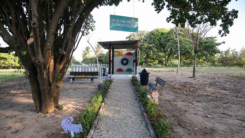 Será inaugurada uma ilha de alimentação e lazer destinada aos gatos que hoje habitam o campus. O intuito da iniciativa é oferecer melhores cuidados aos felinos para posterior adoção pelas comunidades interna e externa. (Foto: Ares Soares)