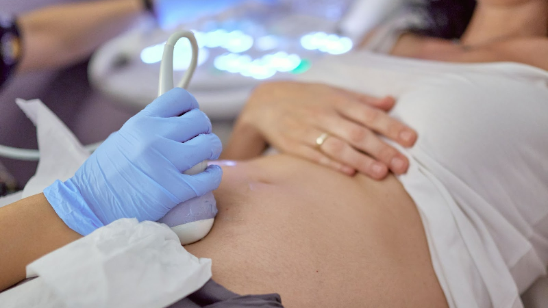 Imunologia da reprodução é a área médica que estuda as interações entre o sistema imunológico feminino e o embrião, investigando seu impacto na fertilidade e na gestação (Foto: Getty Images)