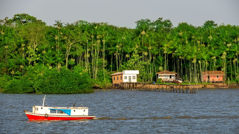 O rio Amazonas possui uma das maiores biodiversidades do planeta (Foto: Getty Images)