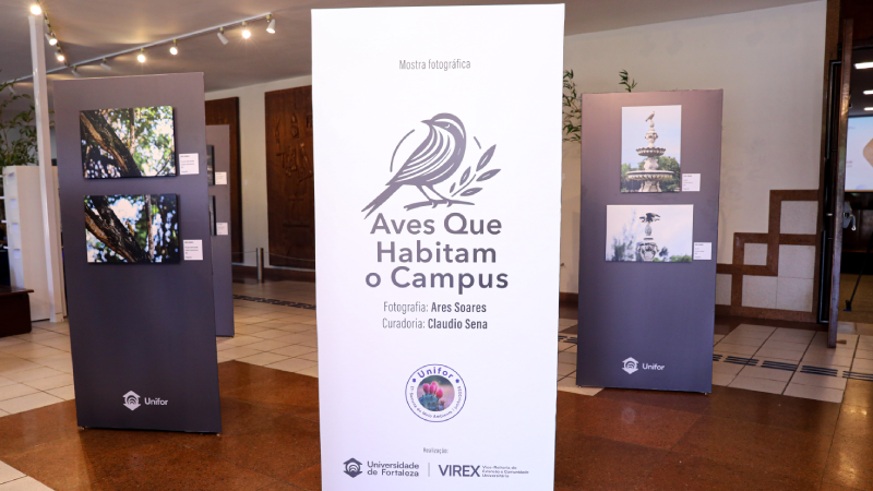 Dentre as aves retratadas nas fotografias estão periquitos, carcarás, gaviões, pica-pau, seriemas, beija-flores, galos de campina, entre outros (Foto: Guilherme Alecrim)