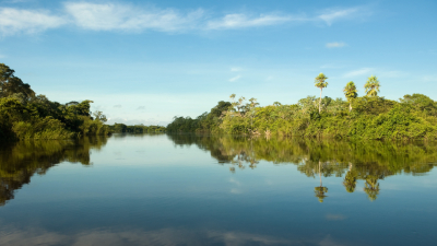 Iniciativa integra ciclo de encontros voltados ao fortalecimento de redes territoriais no entorno do Rio Cocó, com foco em sustentabilidade e cooperação socioambiental (Foto: Getty Images)