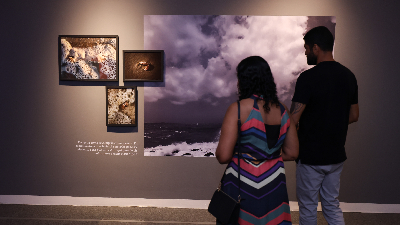 Exposições