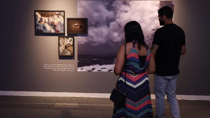 Exposições