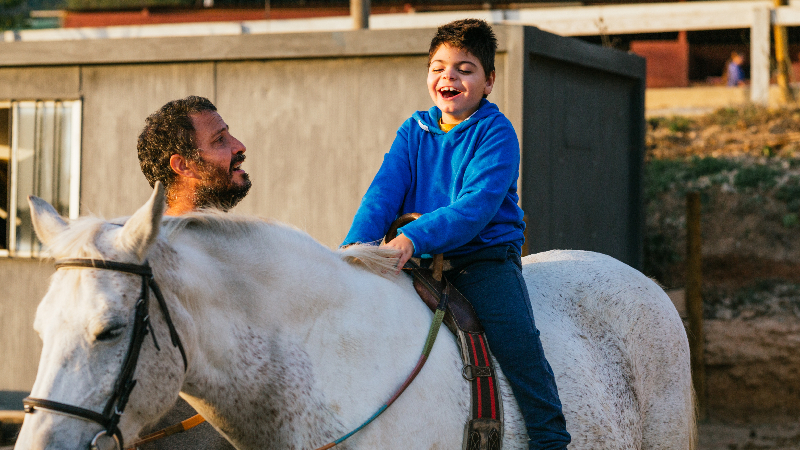 Educação Física Escolar: O CAVALO