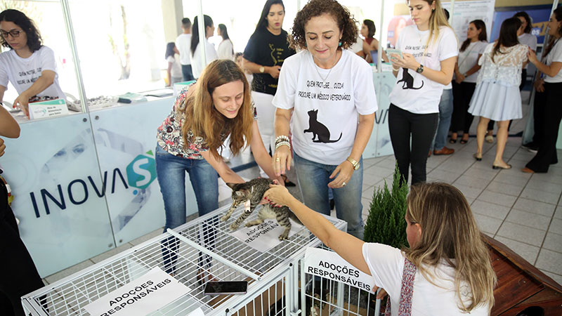 Neste ano, os cursos apresentarão um total de 18 projetos de alunos e professores. Evento acontece dia 25 de maio. (Foto: Ares Soares)