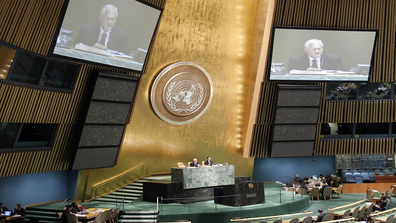 Registro oficial da ONU. Foto: Rick Bajornas.