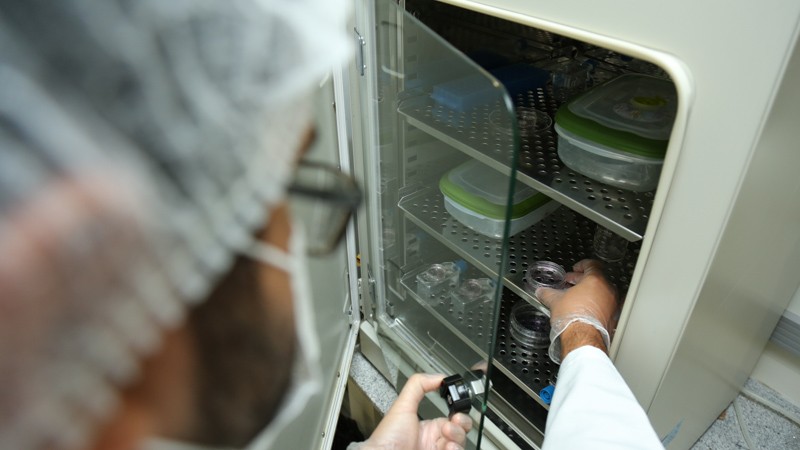 O Nubex tem como objetivo produzir novos conhecimentos que respondam aos desafios científicos, biotecnológicos e sociais do país (Foto: Ares Soares)