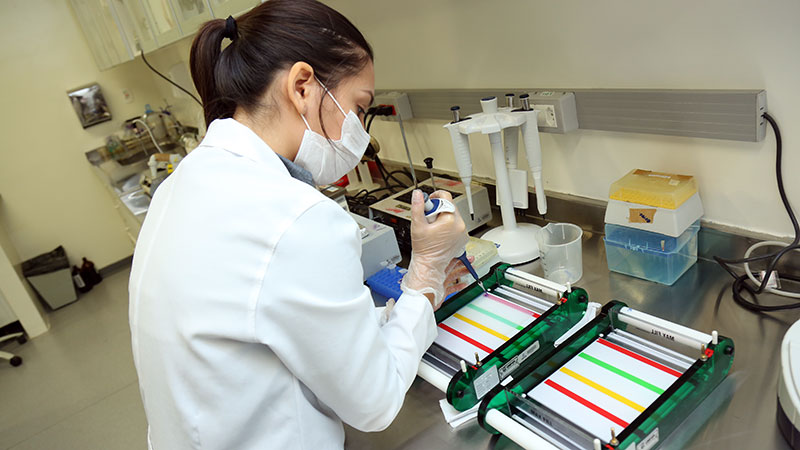 Na Unifor, você dispõe de laboratórios modernos equipados com recursos tecnológicos de ponta e é orientado por um corpo docente dedicado e capacitado para o desenvolvimento de pesquisa de alta qualidade (Foto: Ares Soares)