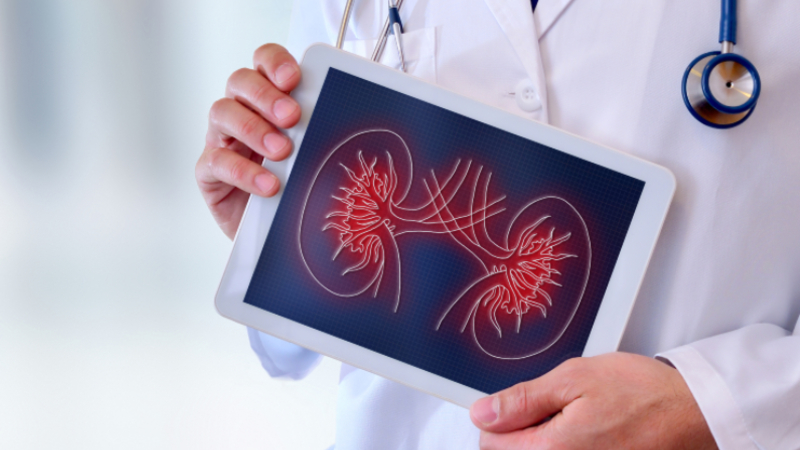 Projeto alerta para cuidados relativos à Doença Renal Crônica (DRC) (Foto: Getty Images)