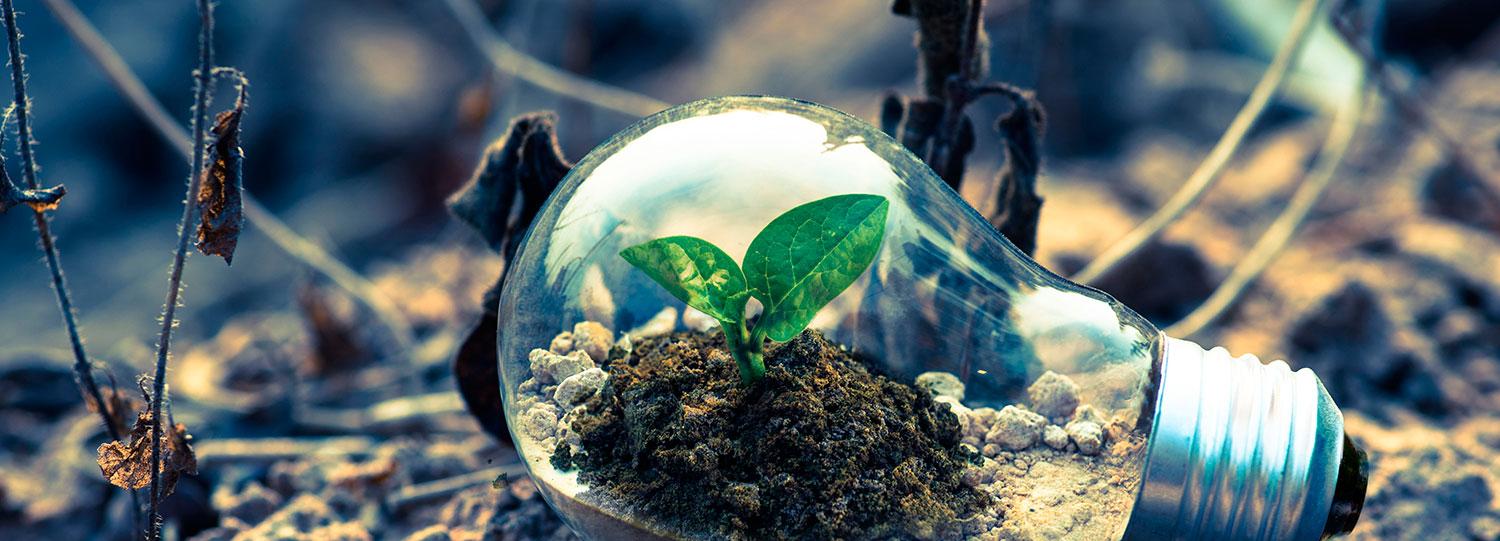 64% das empresas já reconhecem o ESG como prioridade estratégica
