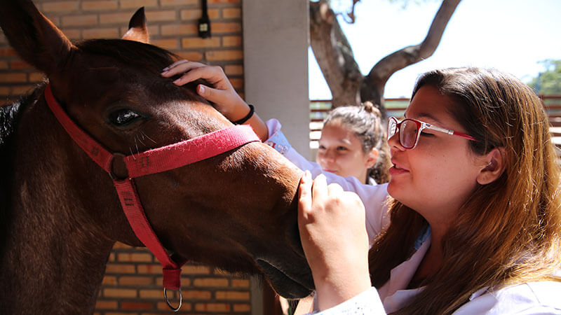 Curso de Medicina Veterinária