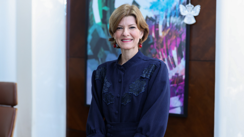 Professora Christina Praça ministrará palestra sobre o tema 