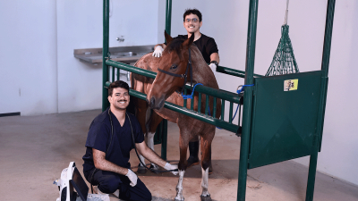 Dentro dos 27 mil m² do Complexo de Medicina Veterinária da Unifor, os alunos vivenciam a prática em diversas especialidades, como clínica geral, cirurgia, anestesia, imagem, laboratório, entre outras (Foto: Ares Soares)