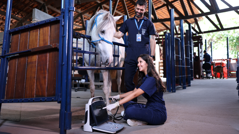 Da primeira turma aos estudantes que hoje iniciam a graduação, as histórias de alunos e egressos revelam as transformações do curso de Medicina Veterinária e a ampliação das experiências práticas e acadêmicas ao longo de sua primeira década (Foto: Ares Soares)