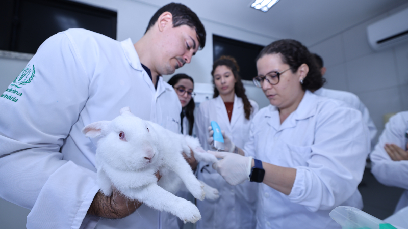 Atividades serão desenvolvidas no Complexo de Medicina Veterinária da Unifor (Foto: Ares Soares)