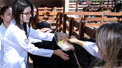 Centro de Treinamento Veterinário da Unifor permite contato dos alunos animais de grande porte (Foto: Ares SOares)
