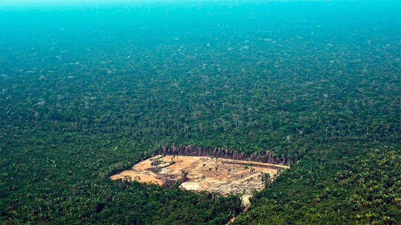 Região desmatada na região da Amazônia brasileira (foto: Carl de Souza/AFP)