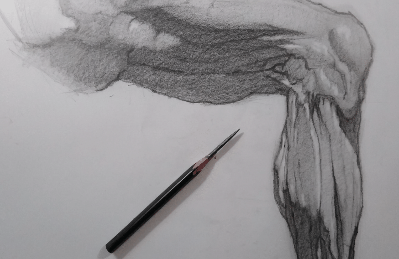 DESENHANDO A CABEÇA – DESENHOS REALISTAS (Realistic Drawings)