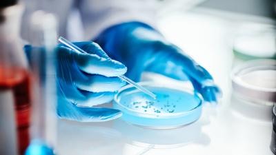 A ideia é recebida de forma positiva no Nubex, que já tem uma plataforma bem estabelecida para a produção de biofármacos (Foto: Getty Images)