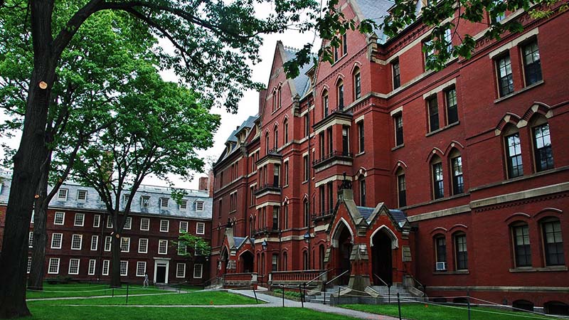 Harvard University. Foto: Divulgação.