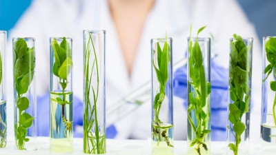 Com maior eficiência e uso de materiais biocompatíveis e de origem natural, o medicamento proporciona ao paciente com feridas diabéticas menos dor, mais conforto e esperança de um tratamento resolutivo (Ilustração: Getty Images)