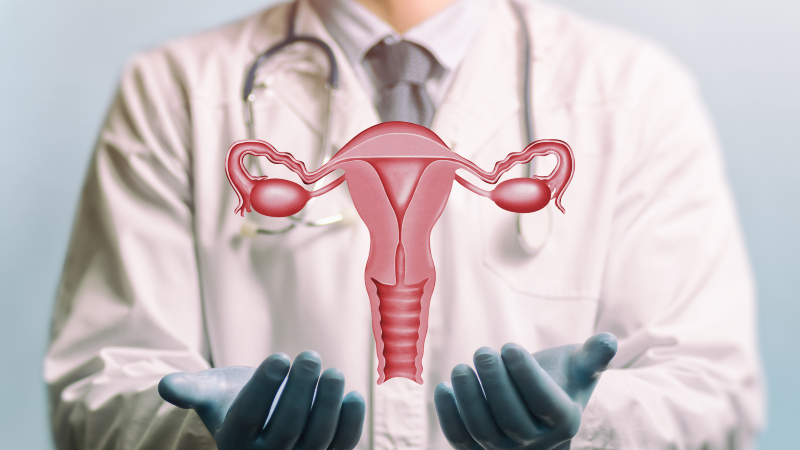 Segundo o estudo, compreender os mecanismos envolvidos no envelhecimento ovariano pode contribuir para o desenvolvimento de estratégias que são capazes de preservar a saúde hormonal feminina por mais tempo (Foto: Getty Images)