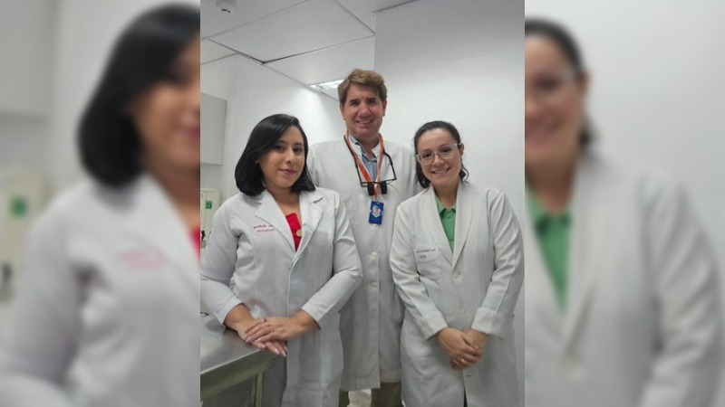 A mestranda Constance Almeida, o professor Josué Viana e a doutoranda Sacha Aubrey são os três pesquisadores responsáveis pelo estudo (Ilustração: Getty Images)