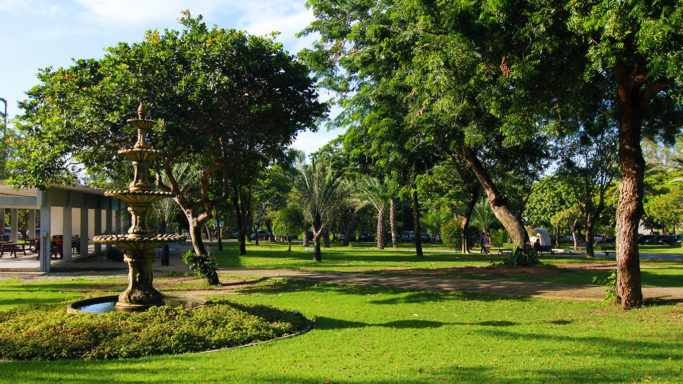 Fonte e jardim Paisagismo Unifor