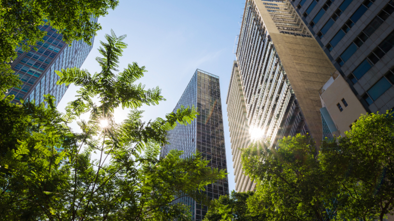 A especialização em Arquitetura e Projeto Sustentável propõe uma imersão em temas urgentes (Foto: Getty Images)