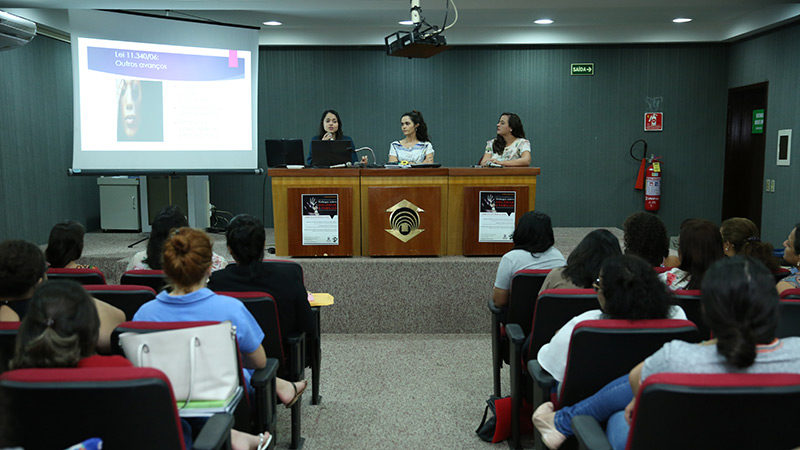 O programa é avaliado com conceito 5 pela Capes e conta atualmente com 14 docentes, distribuídos em três linhas de pesquisa e oito laboratórios